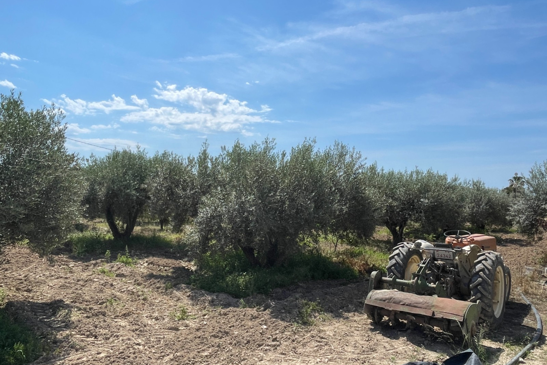 Resale - Detached Villa - Crevillente