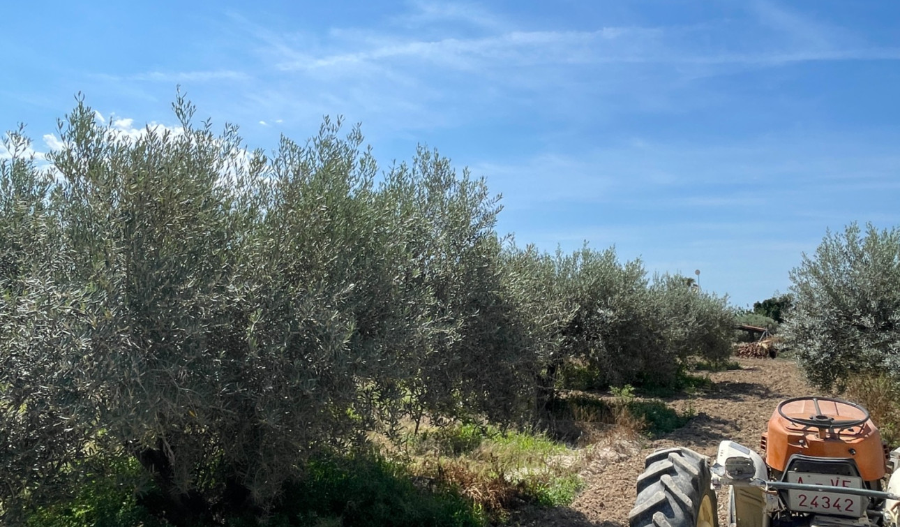 Resale - Detached Villa - Crevillente