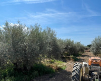 Resale - Detached Villa - Crevillente