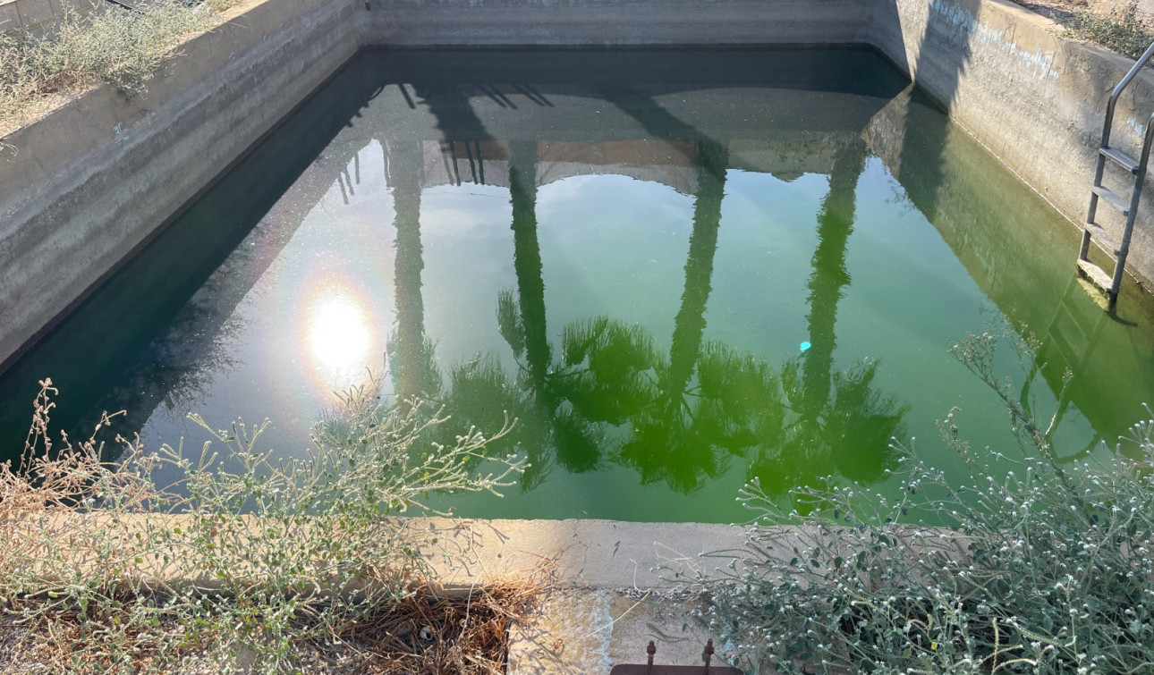 Resale - Detached Villa - Crevillente