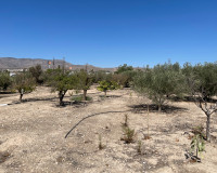 Resale - Detached Villa - Crevillente