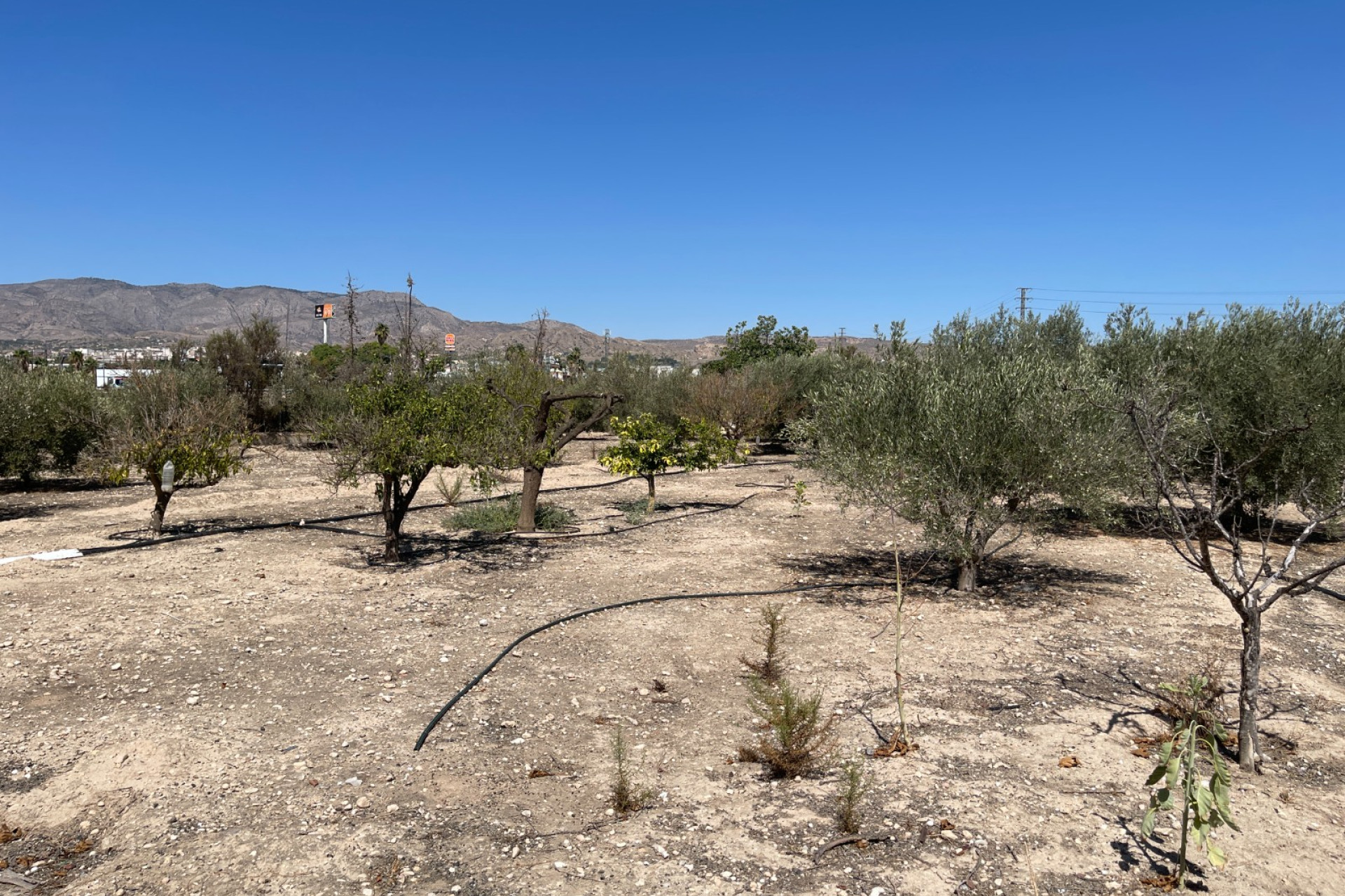 Resale - Detached Villa - Crevillente