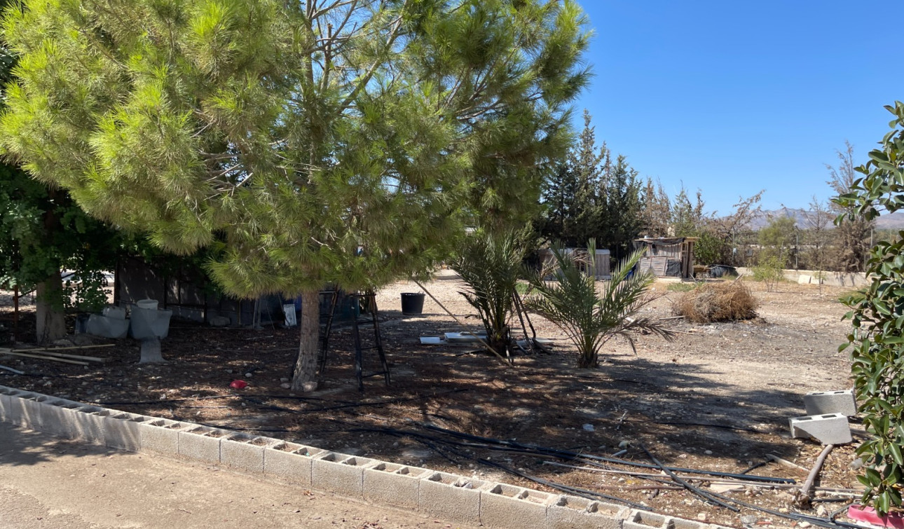 Resale - Detached Villa - Crevillente