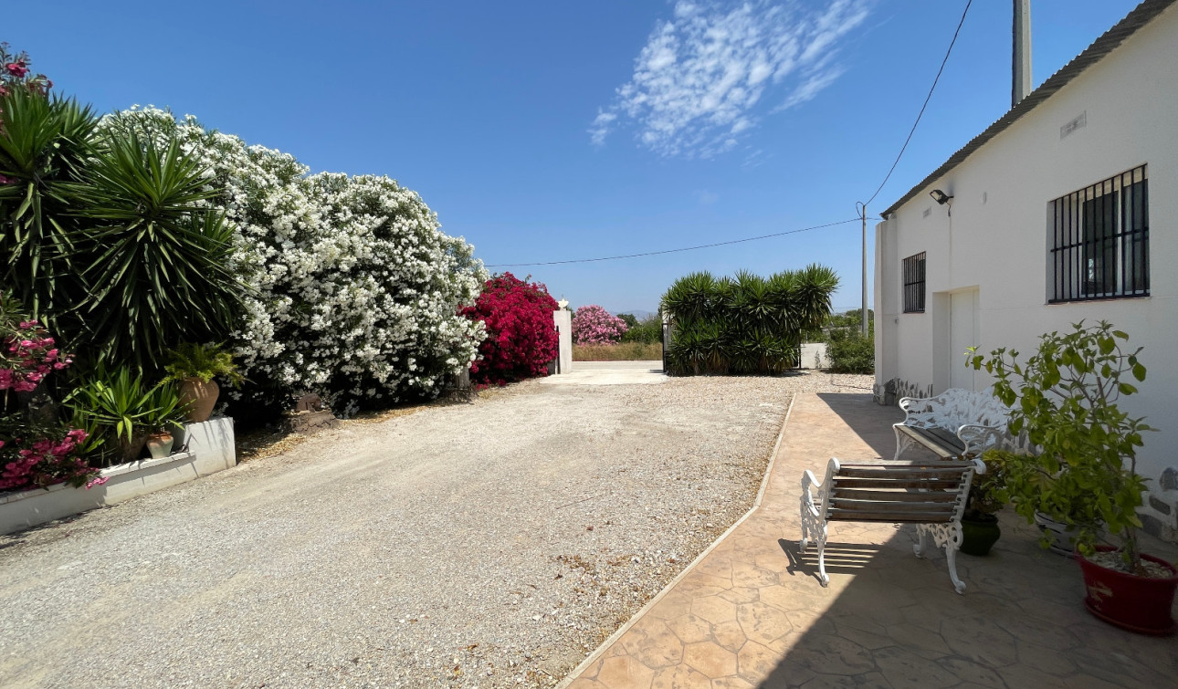 Resale - Detached Villa - Daya Nueva