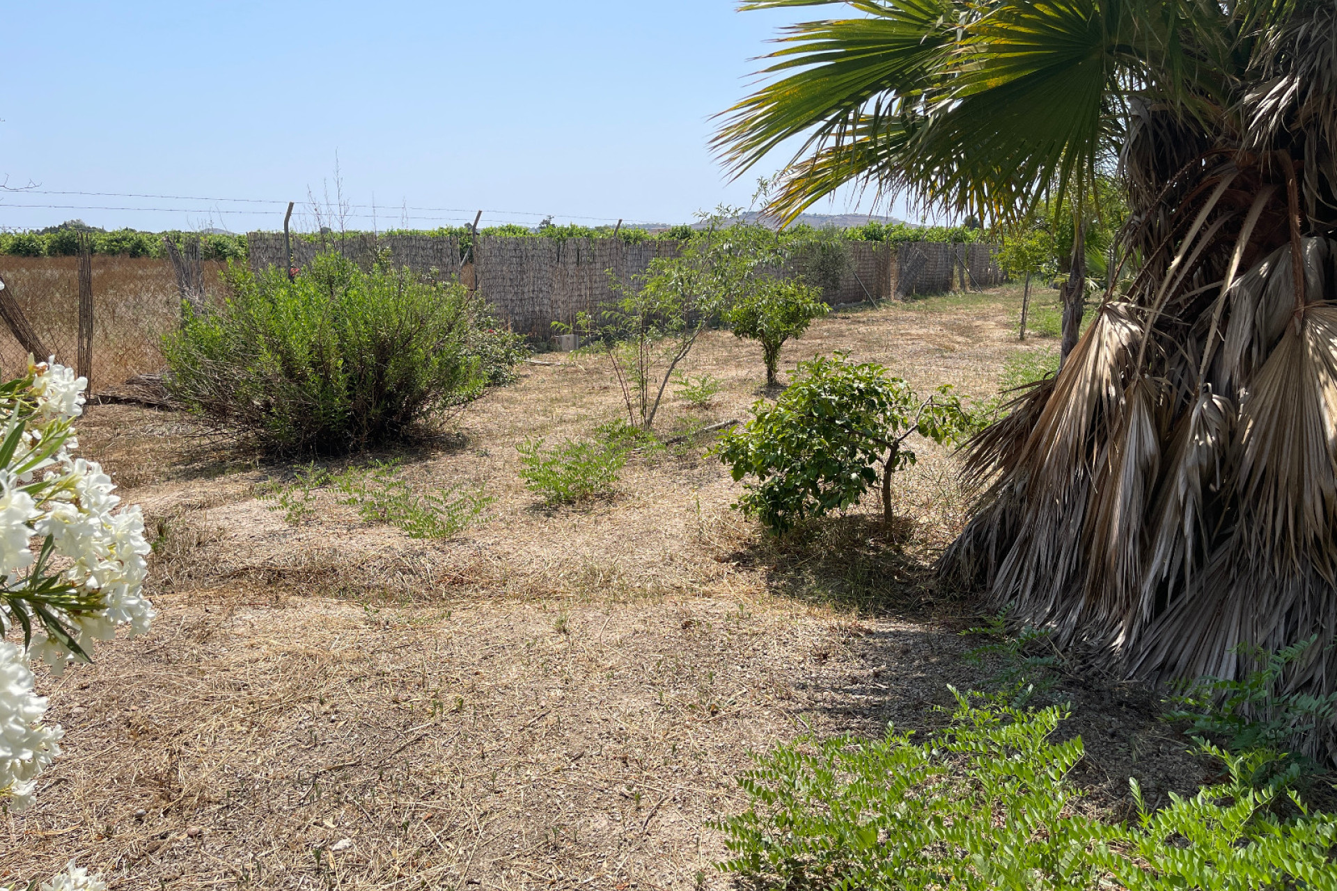 Resale - Detached Villa - Daya Nueva