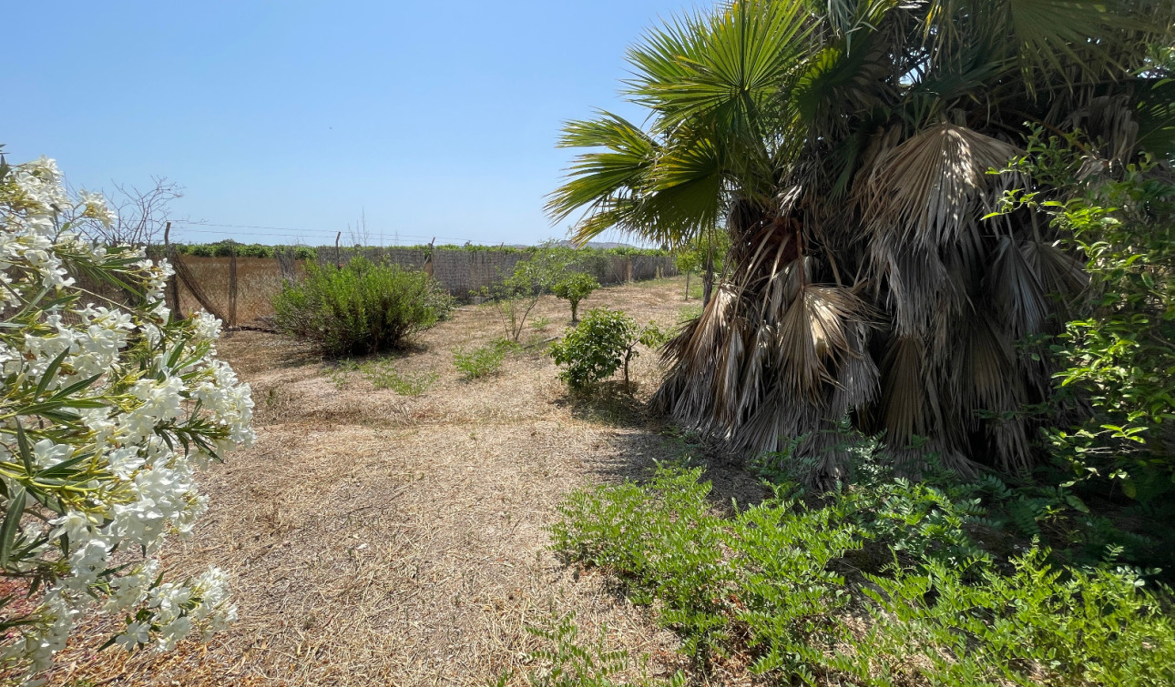 Resale - Detached Villa - Daya Nueva