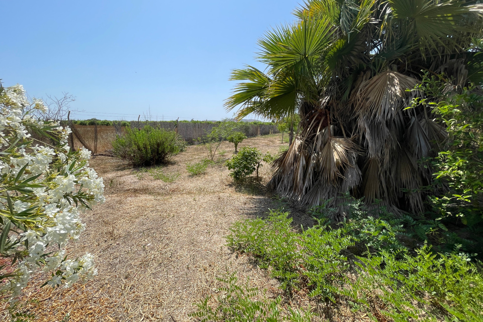 Resale - Detached Villa - Daya Nueva