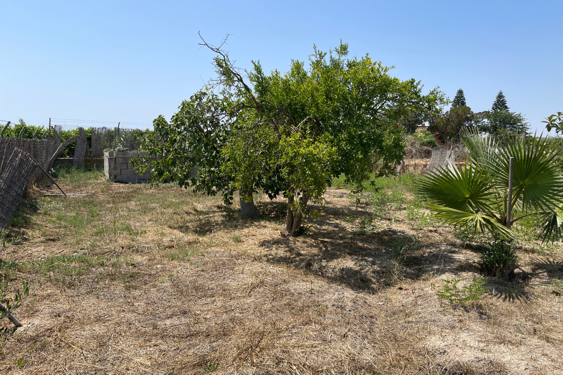 Resale - Detached Villa - Daya Nueva