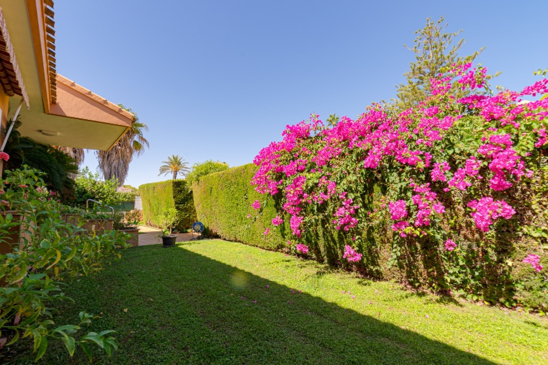 Resale - Detached Villa - Dehesa de Campoamor - Campoamor