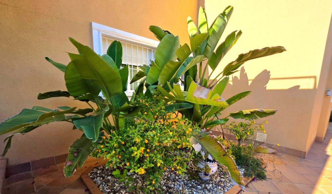 Resale - Detached Villa - Dehesa de Campoamor - Campoamor