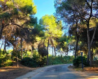 Resale - Detached Villa - Dehesa de Campoamor - Campoamor