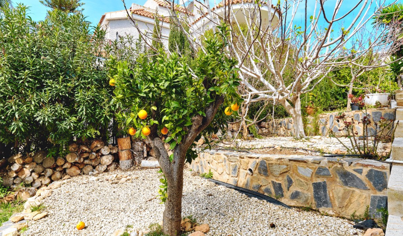 Resale - Detached Villa - Dehesa de Campoamor