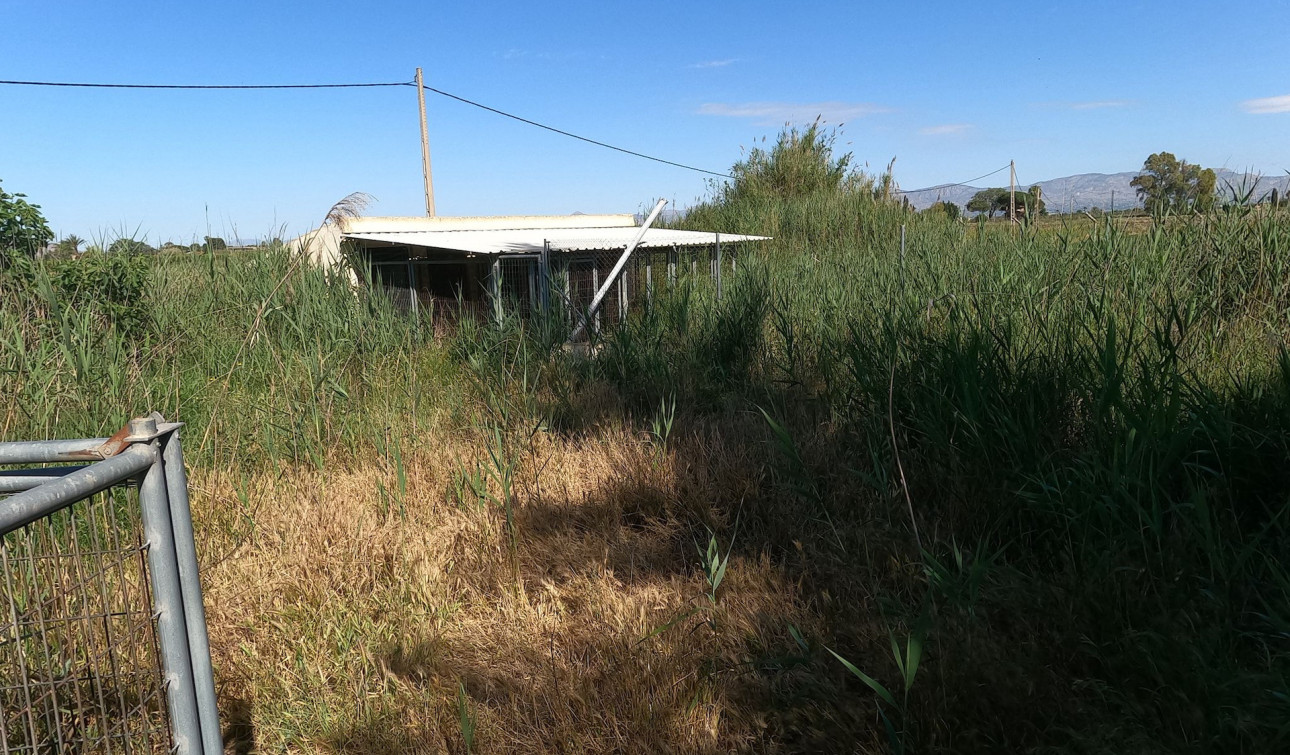 Resale - Detached Villa - Dolores