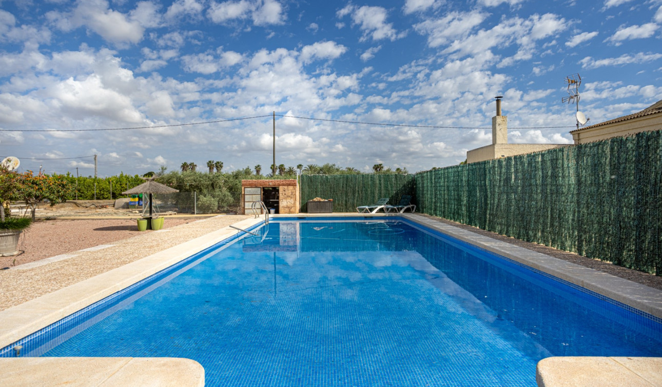 Resale - Detached Villa - Elche - La Hoya