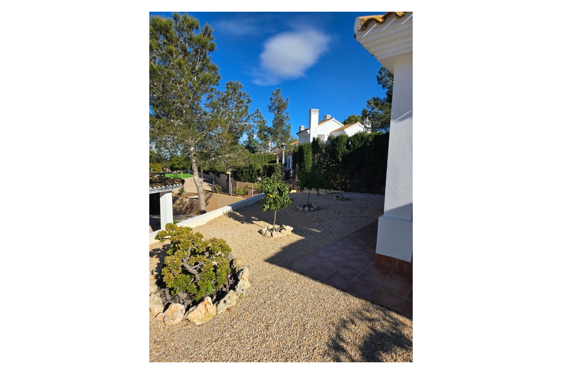 Resale - Detached Villa - Fuente Alamo - Las Palas