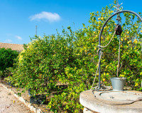 Resale - Detached Villa - Guardamar del Segura - El Raso