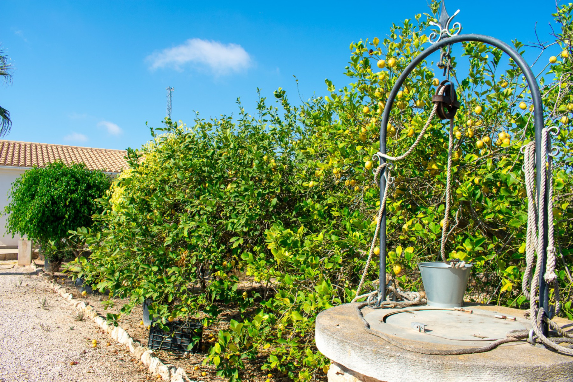 Resale - Detached Villa - Guardamar del Segura - El Raso