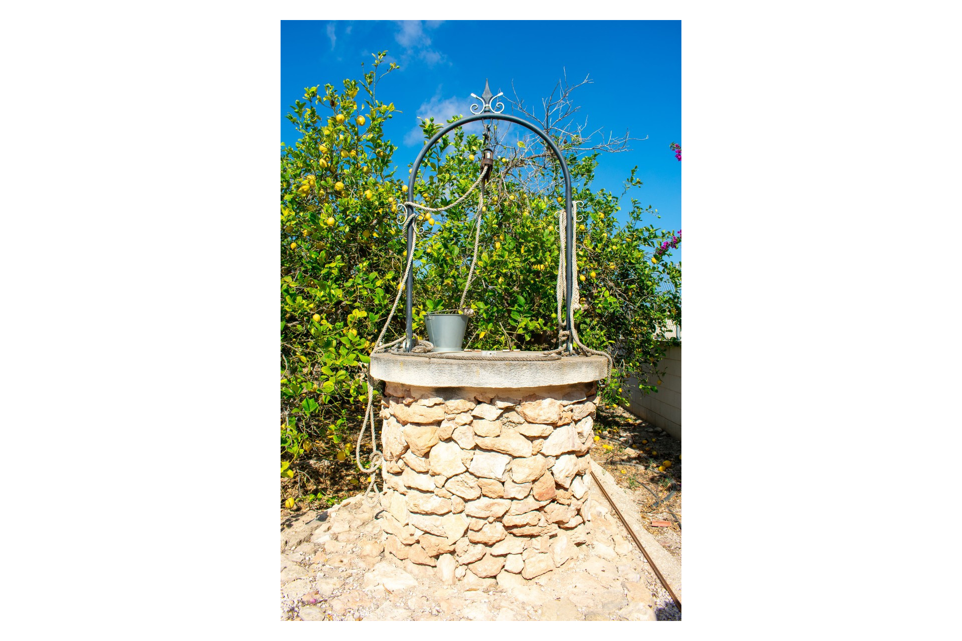 Resale - Detached Villa - Guardamar del Segura - El Raso