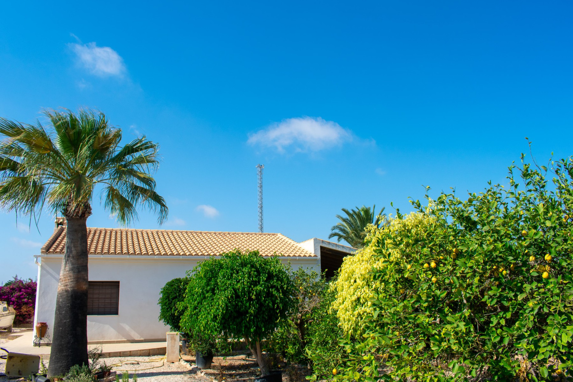 Resale - Detached Villa - Guardamar del Segura - El Raso