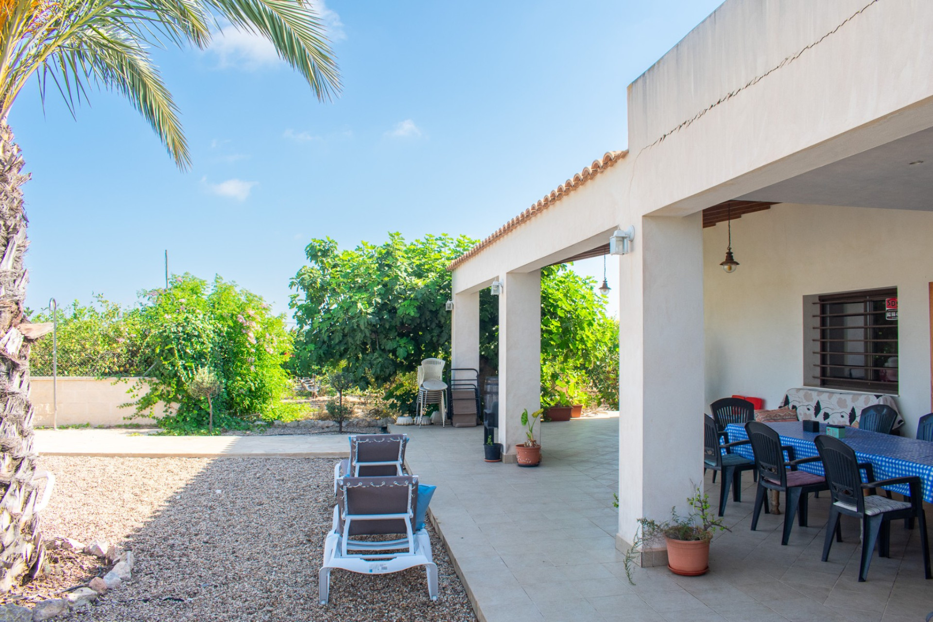 Resale - Detached Villa - Guardamar del Segura - El Raso