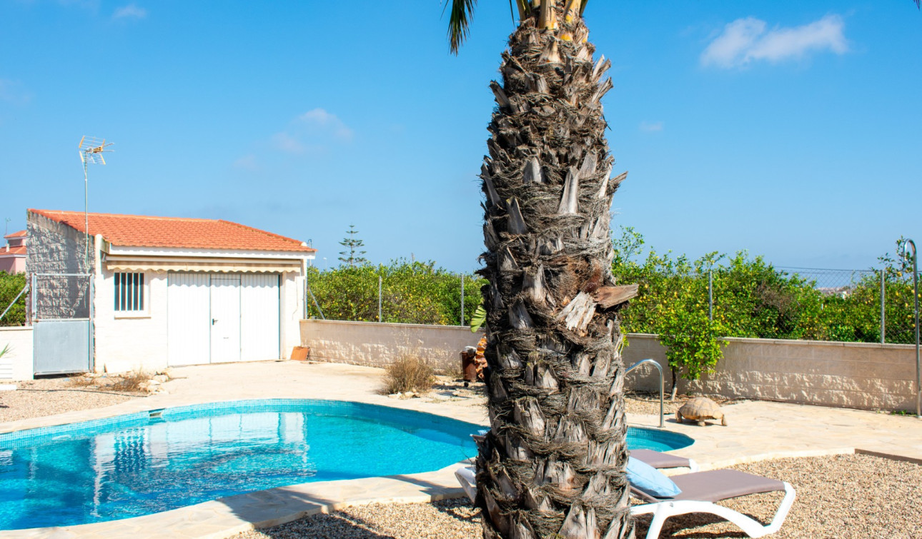 Resale - Detached Villa - Guardamar del Segura - El Raso