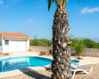 Resale - Detached Villa - Guardamar del Segura - El Raso