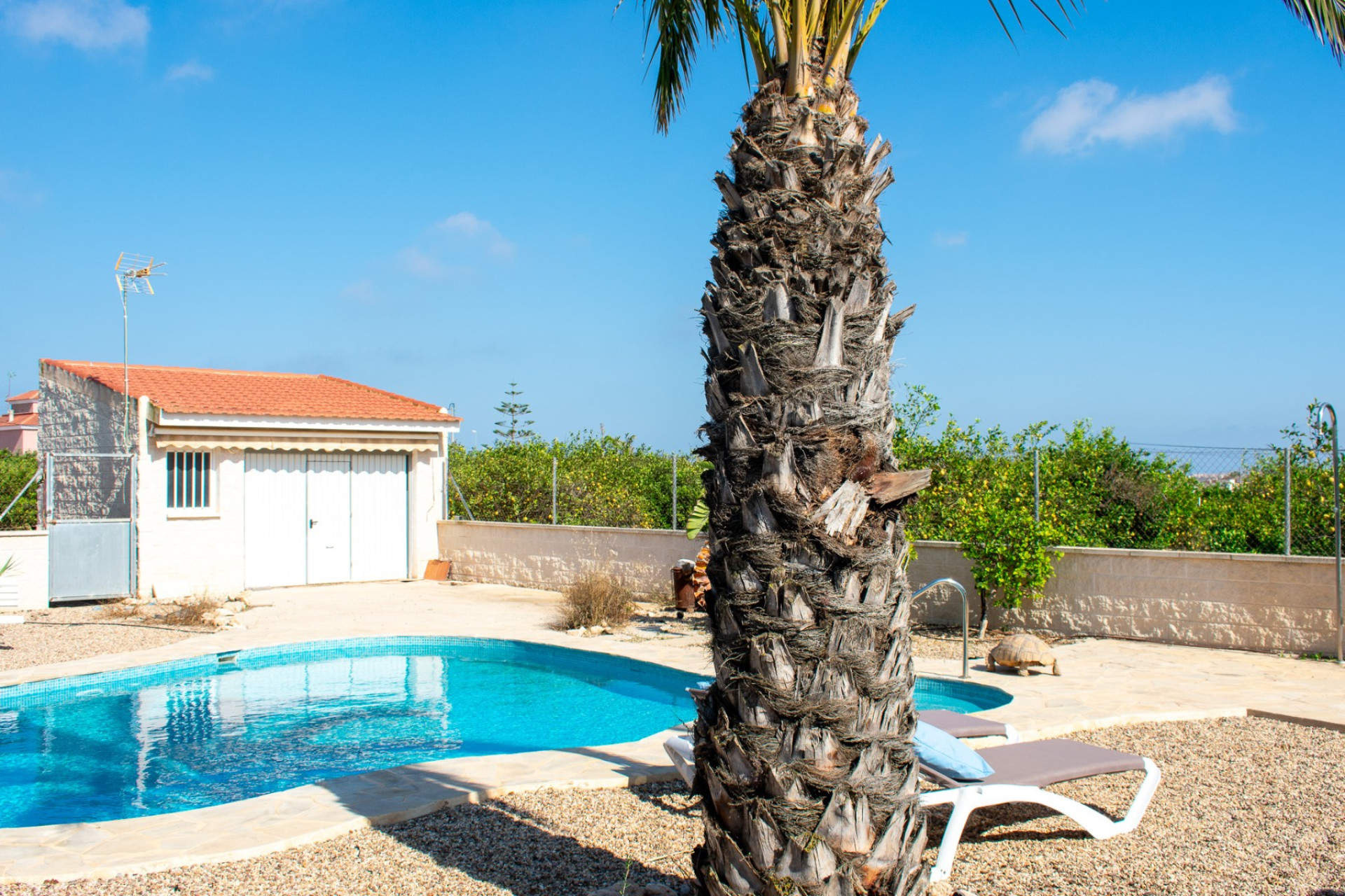 Resale - Detached Villa - Guardamar del Segura - El Raso