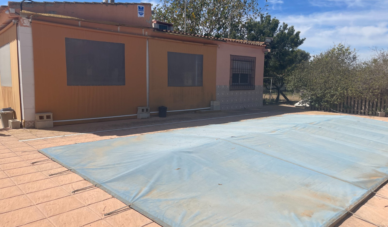 Resale - Detached Villa - Guardamar del Segura - Valencian Community