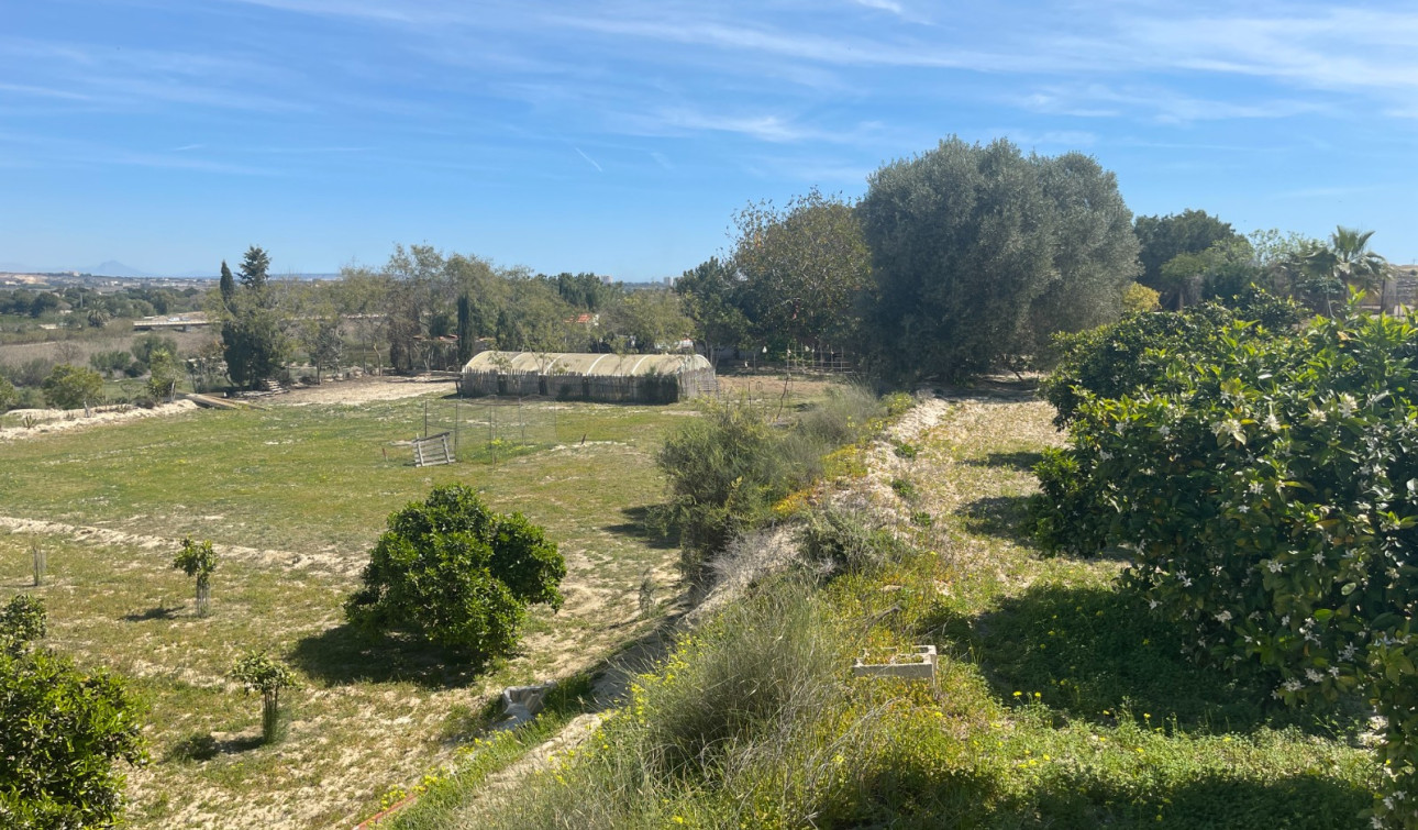 Resale - Detached Villa - Guardamar del Segura - Valencian Community