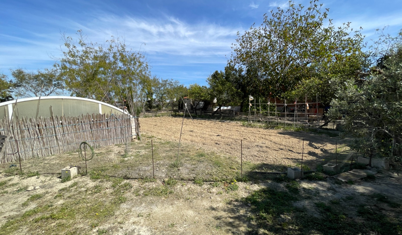 Resale - Detached Villa - Guardamar del Segura - Valencian Community