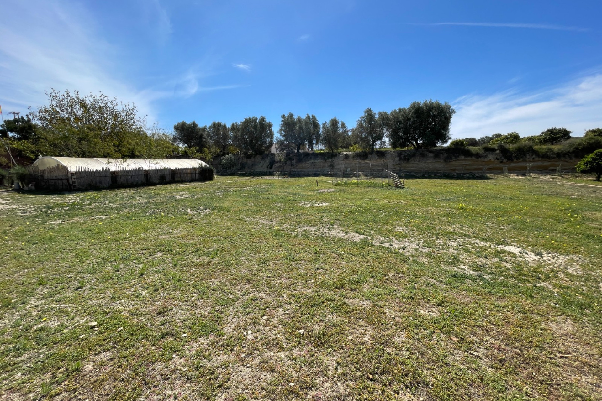 Resale - Detached Villa - Guardamar del Segura - Valencian Community