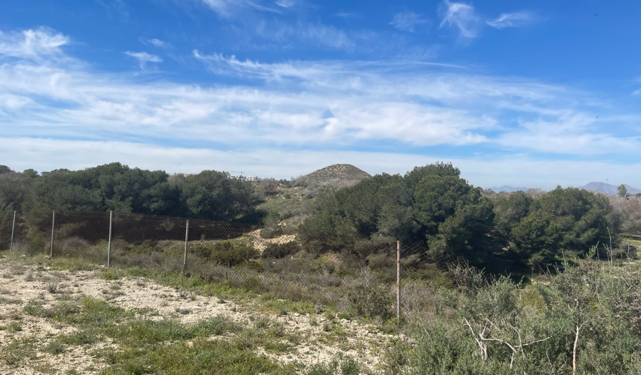 Resale - Detached Villa - Guardamar del Segura - Valencian Community