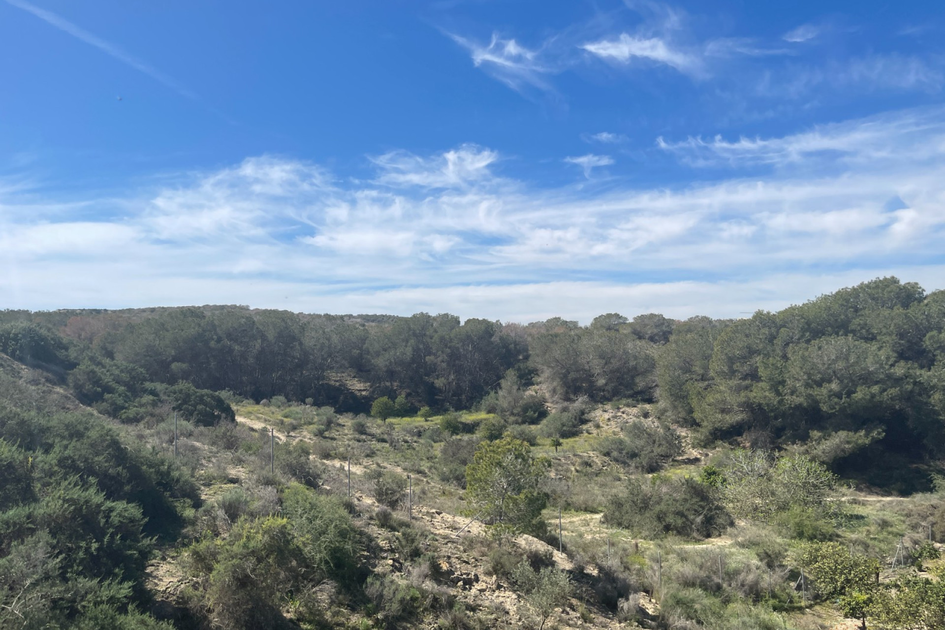 Resale - Detached Villa - Guardamar del Segura - Valencian Community