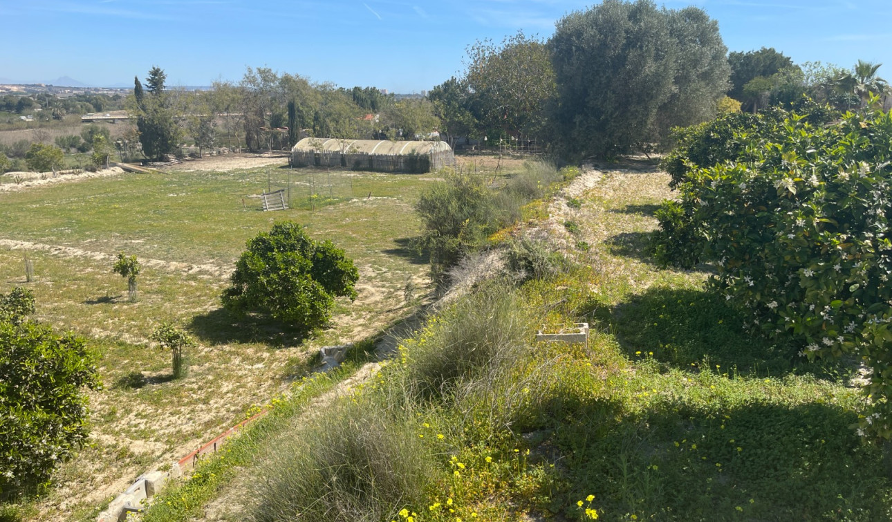 Resale - Detached Villa - Guardamar del Segura - Valencian Community