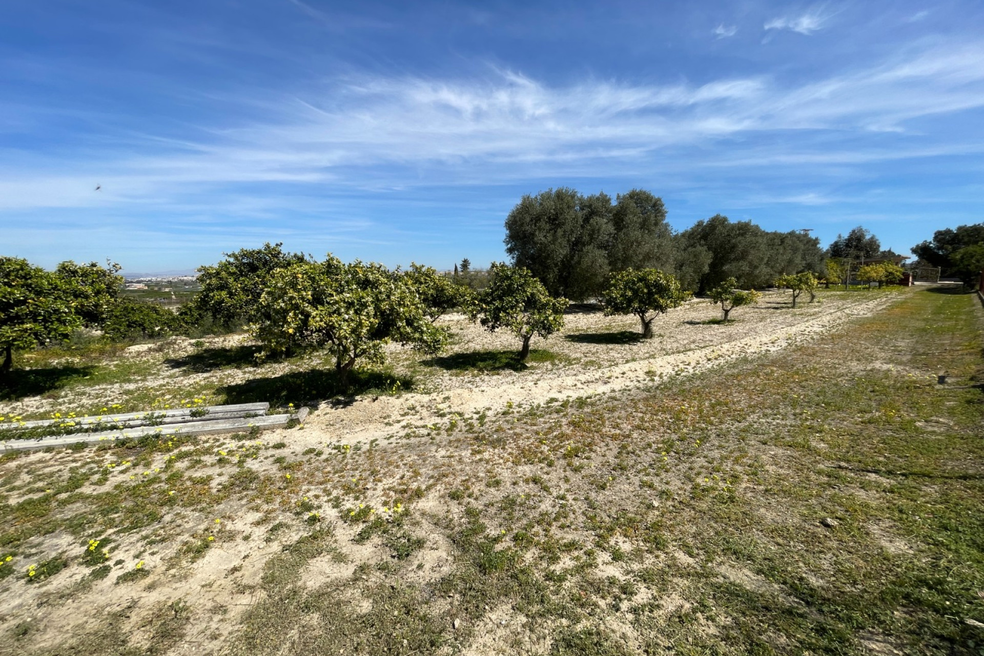 Resale - Detached Villa - Guardamar del Segura - Valencian Community