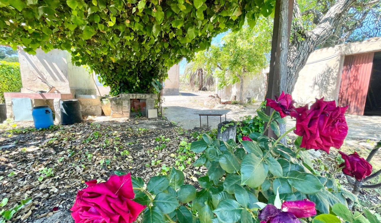 Resale - Detached Villa - La Romana - Villas de la Romana