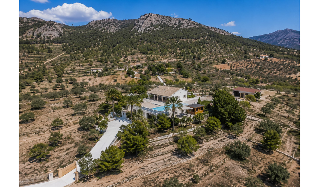 Resale - Detached Villa - La Zarza - Inland
