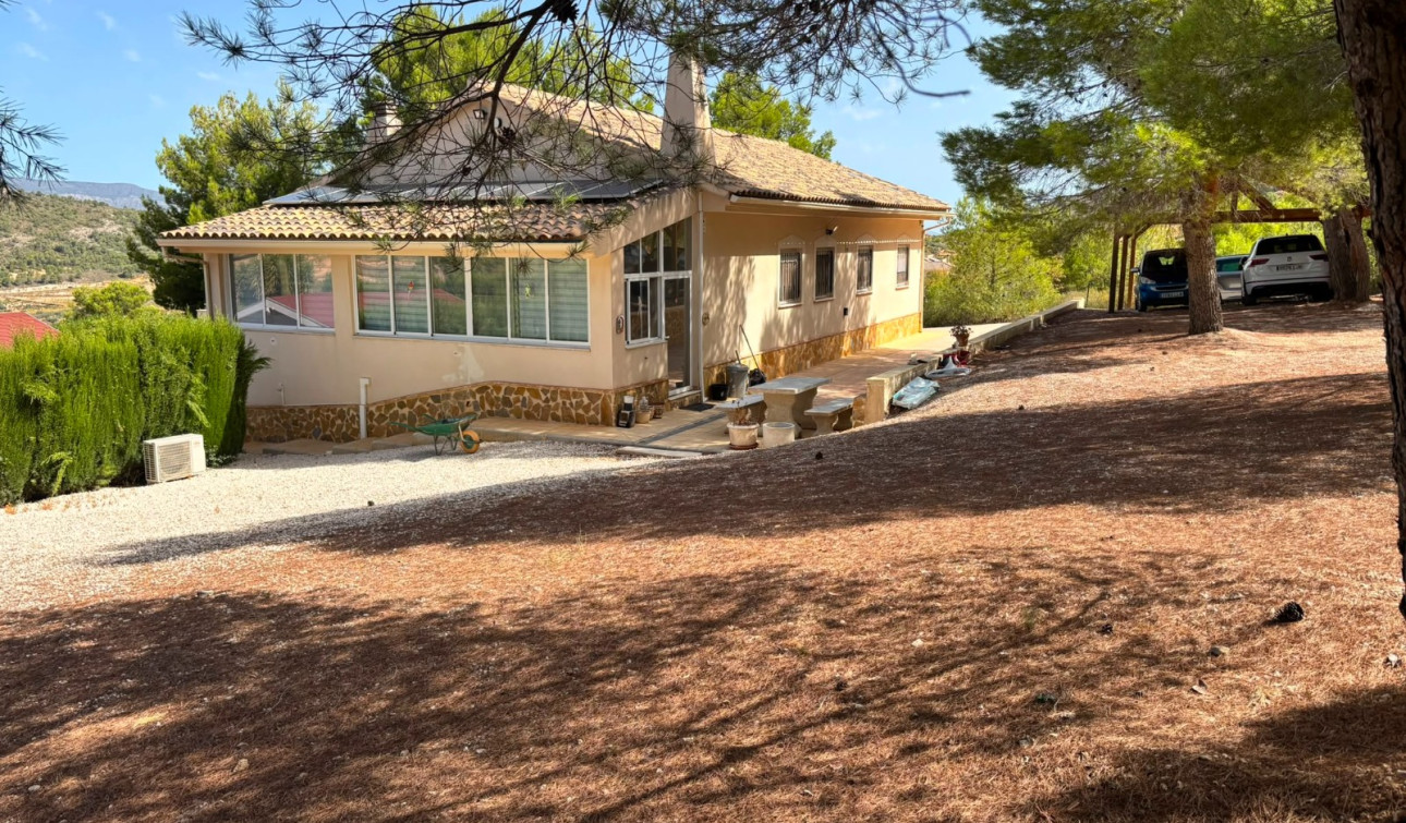 Resale - Detached Villa - La Zarza - Inland