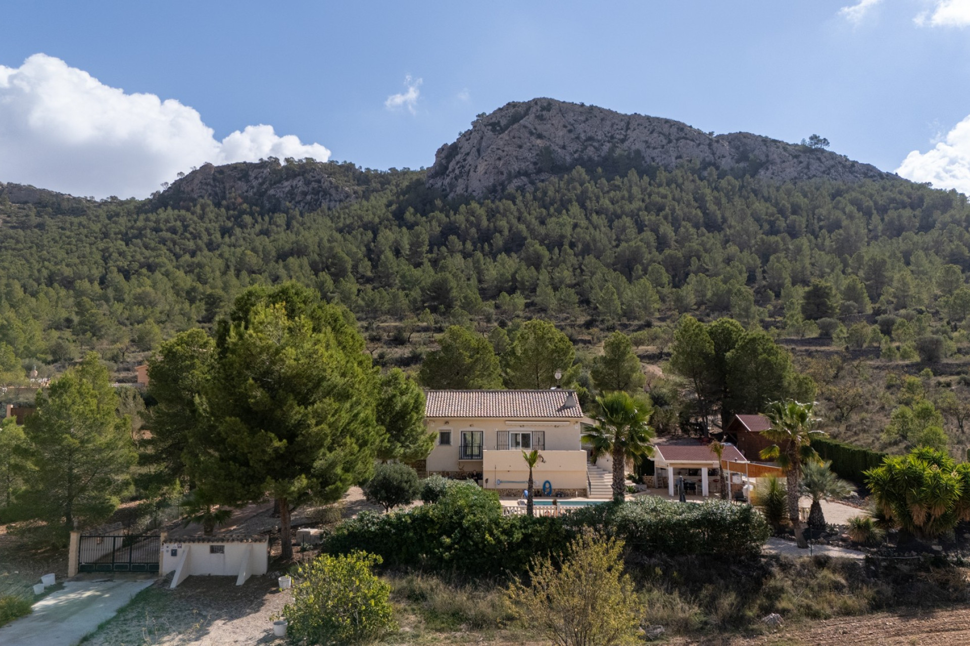 Resale - Detached Villa - La Zarza