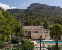 Resale - Detached Villa - La Zarza