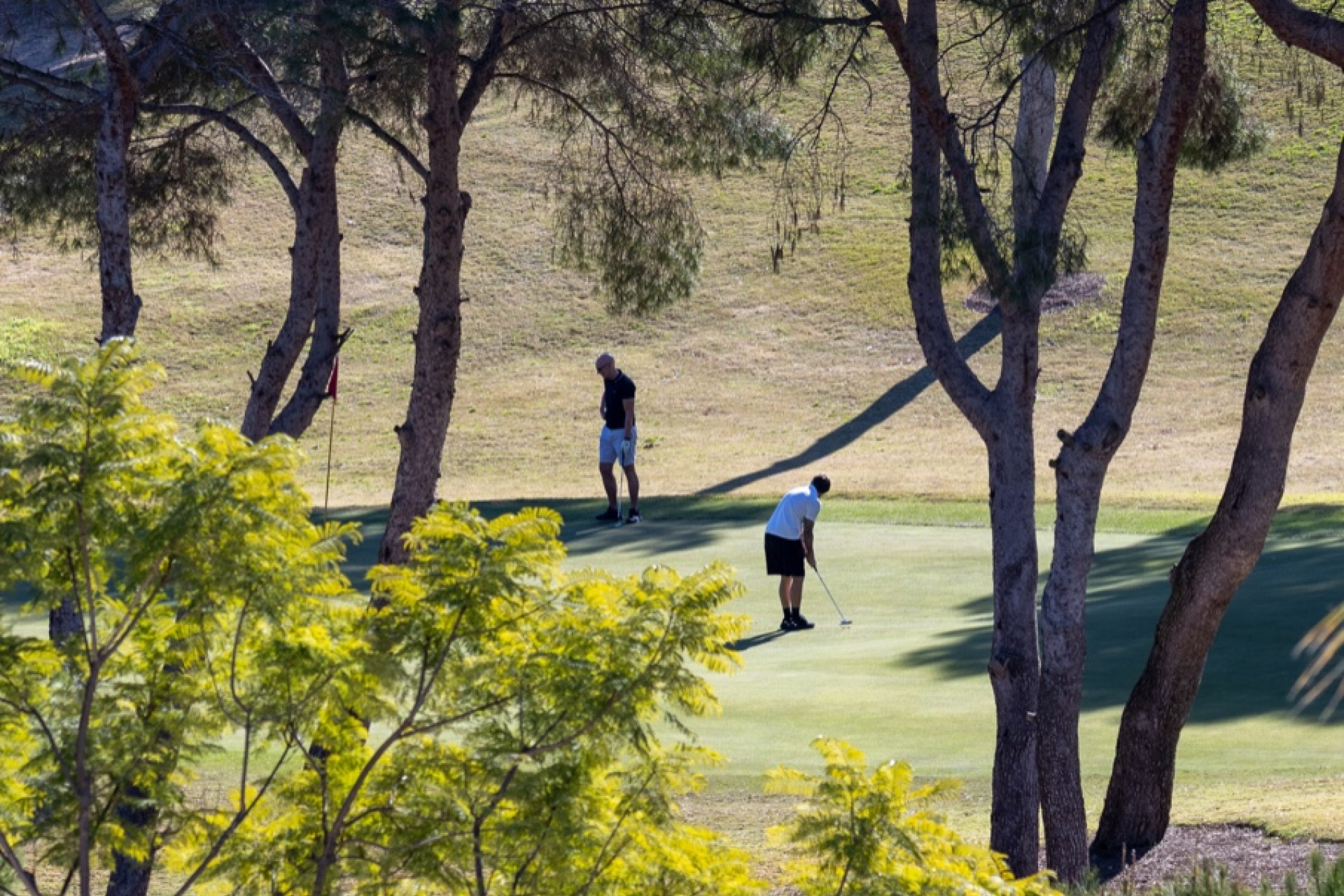 Resale - Detached Villa - Las Ramblas