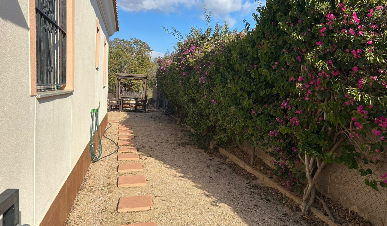 Resale - Detached Villa - Los Alcazares - Santa Rosalía