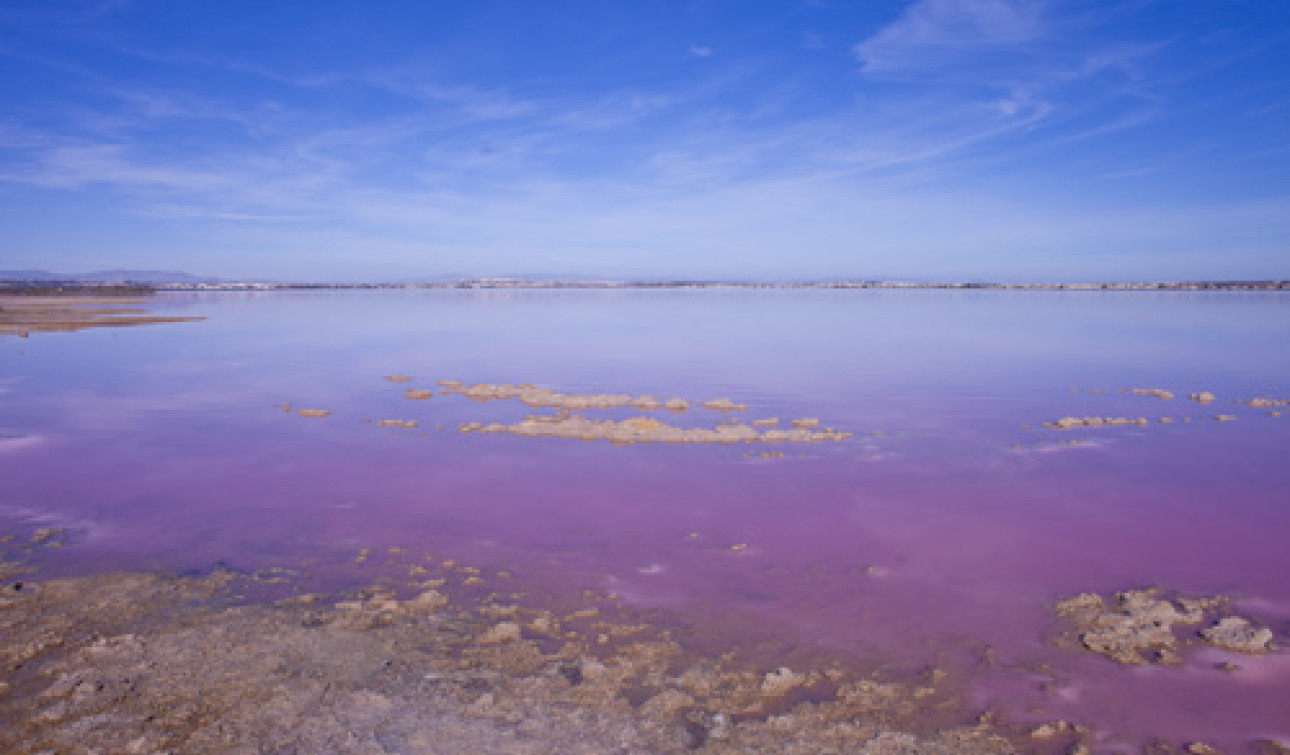 Resale - Detached Villa - Los Altos