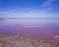 Resale - Detached Villa - Los Altos