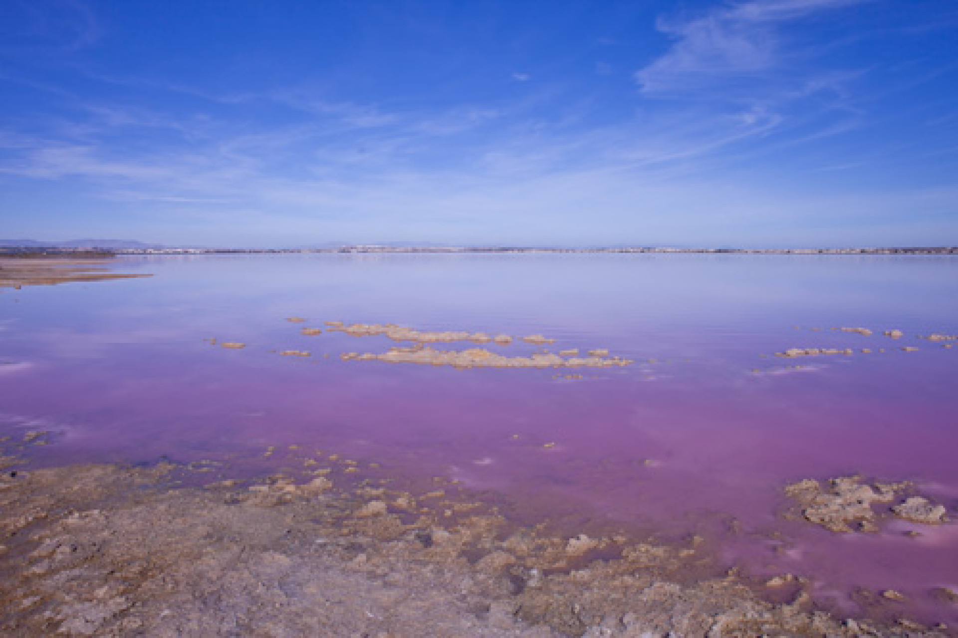 Resale - Detached Villa - Los Altos