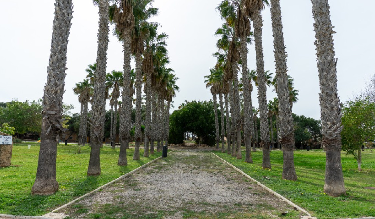 Resale - Detached Villa - Los Altos