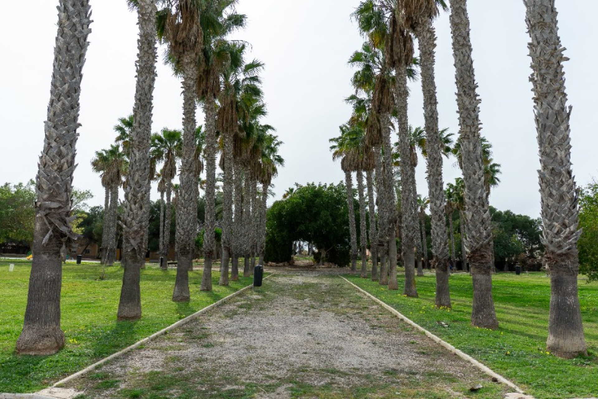 Resale - Detached Villa - Los Altos