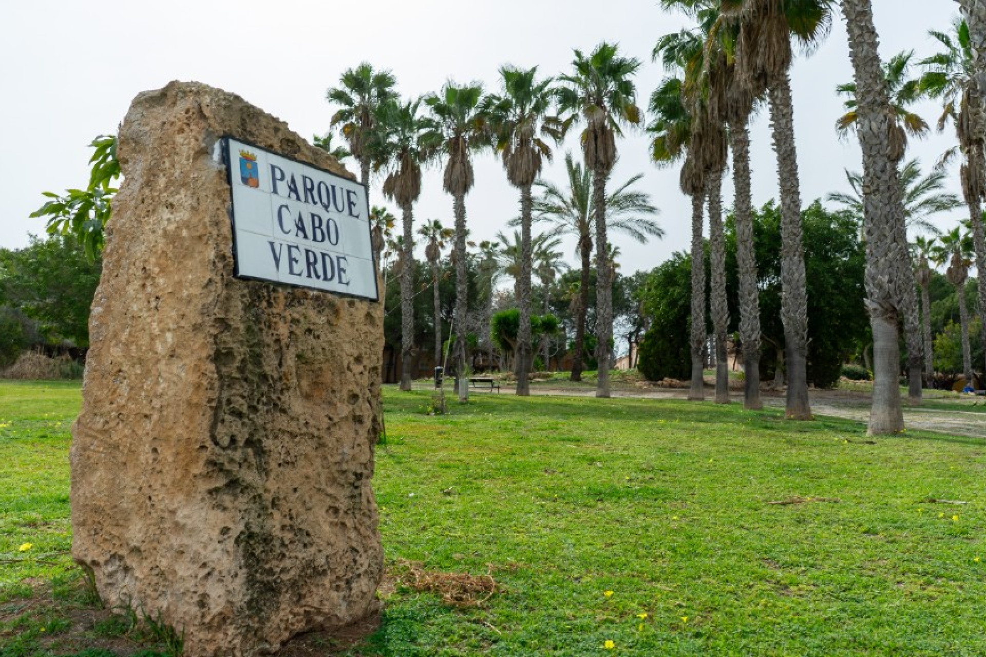 Resale - Detached Villa - Los Altos