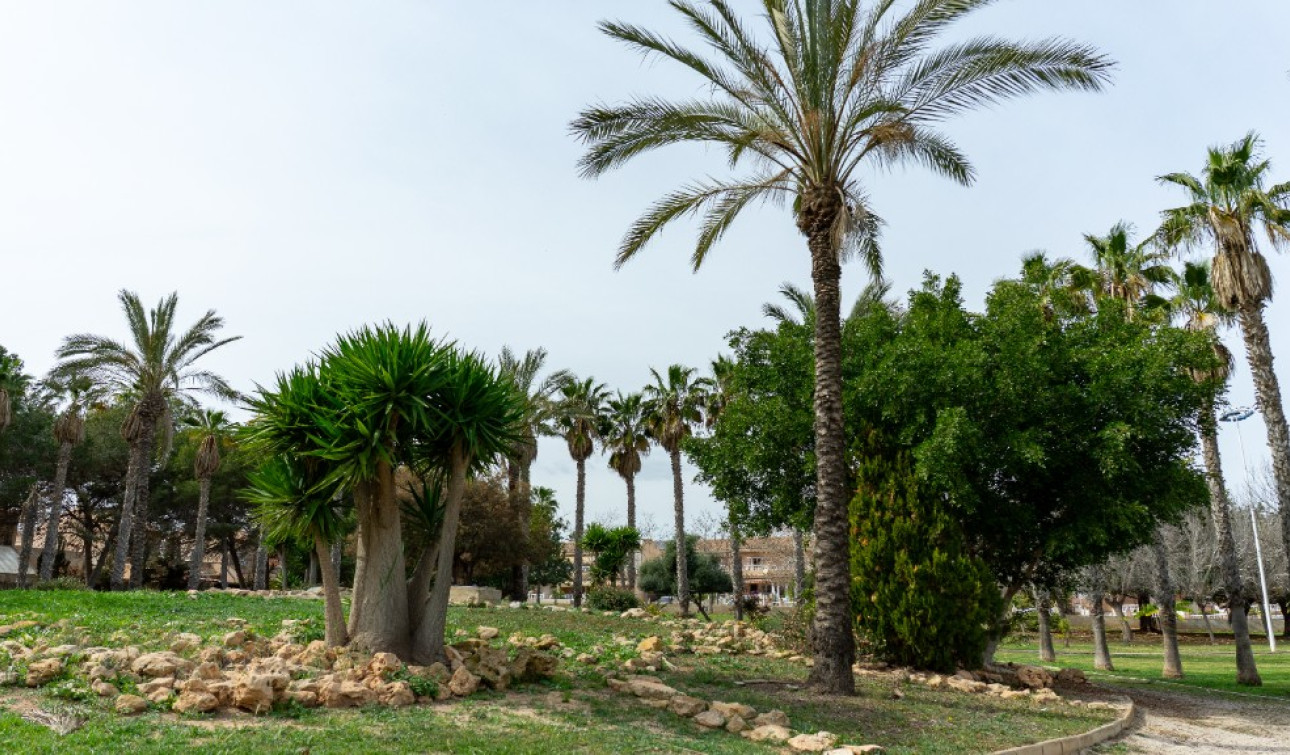 Resale - Detached Villa - Los Altos