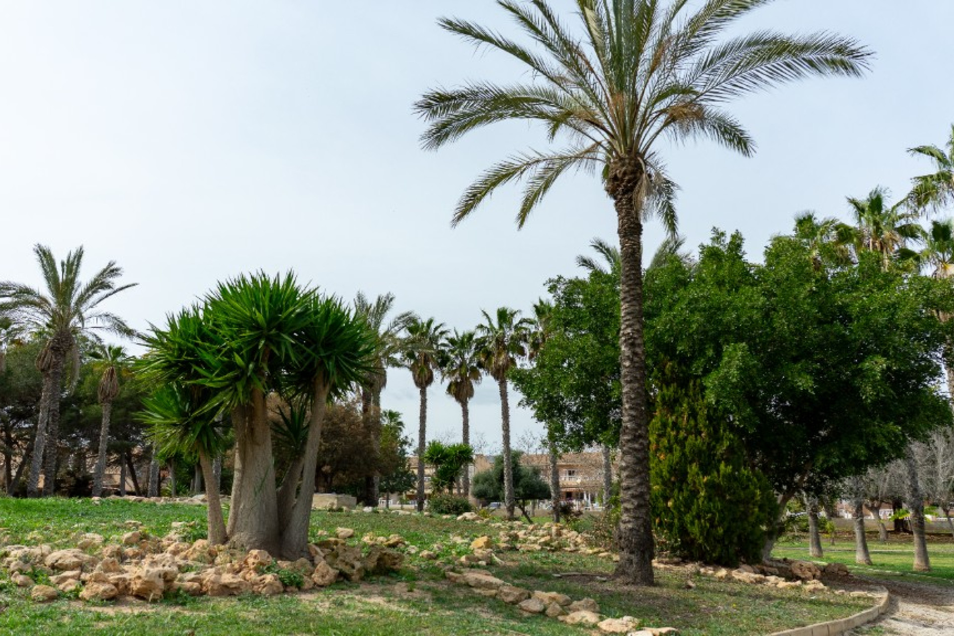 Resale - Detached Villa - Los Altos